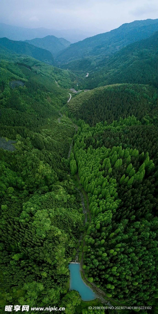 青山绿水