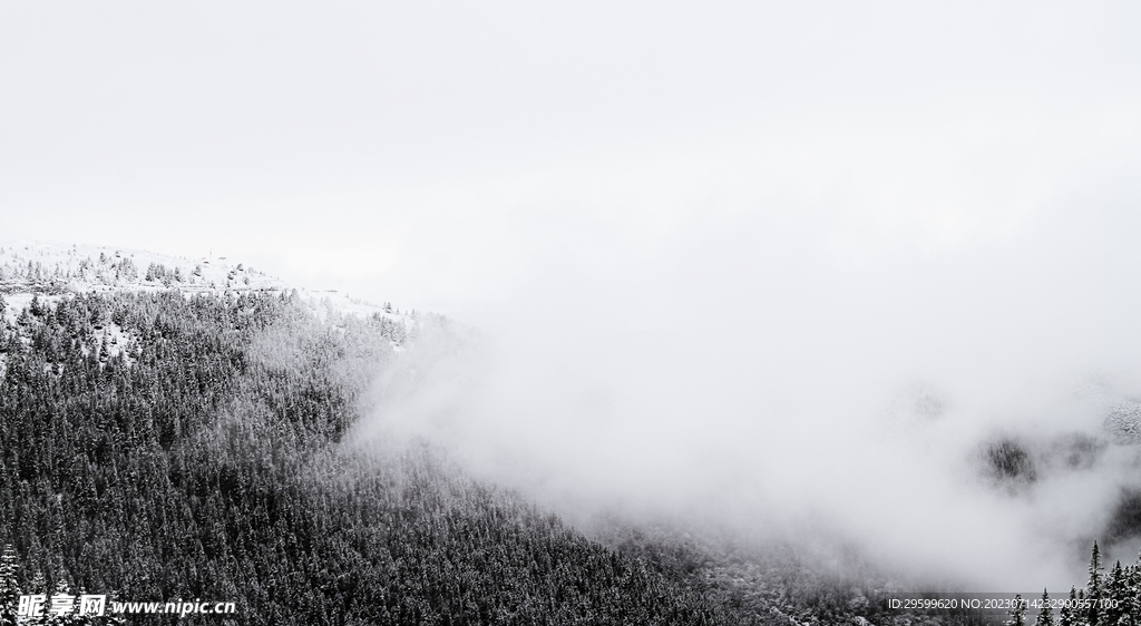 雪景