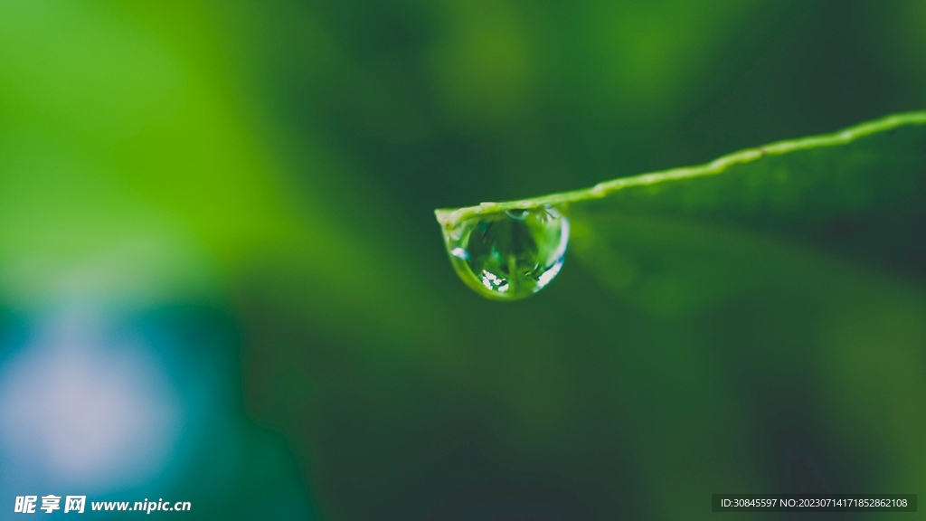 露水