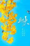 24节气立秋