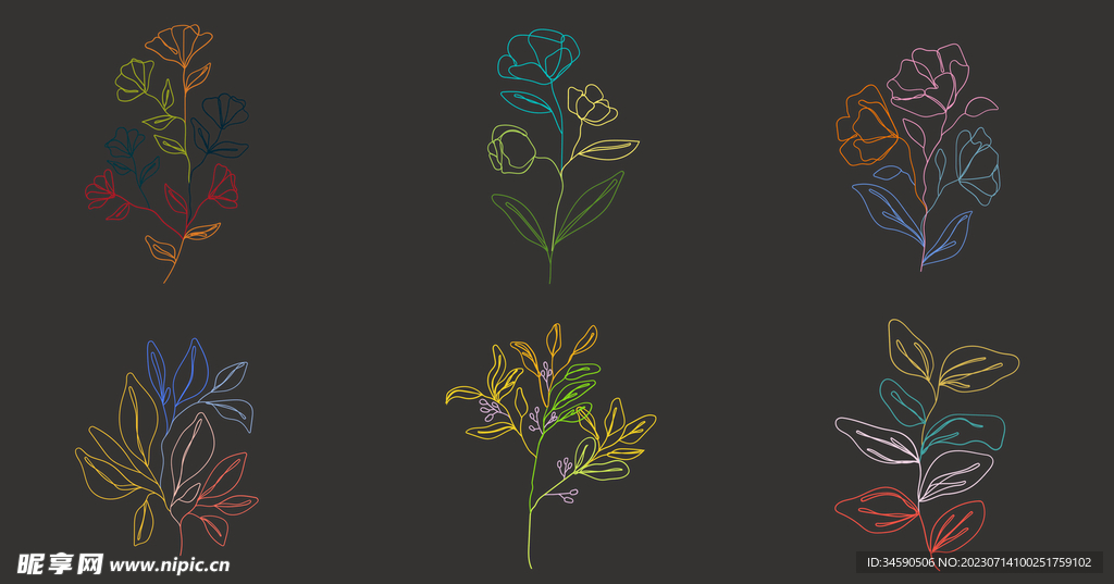 简约彩色花朵花卉线条线稿手绘