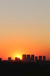 落日夕阳红
