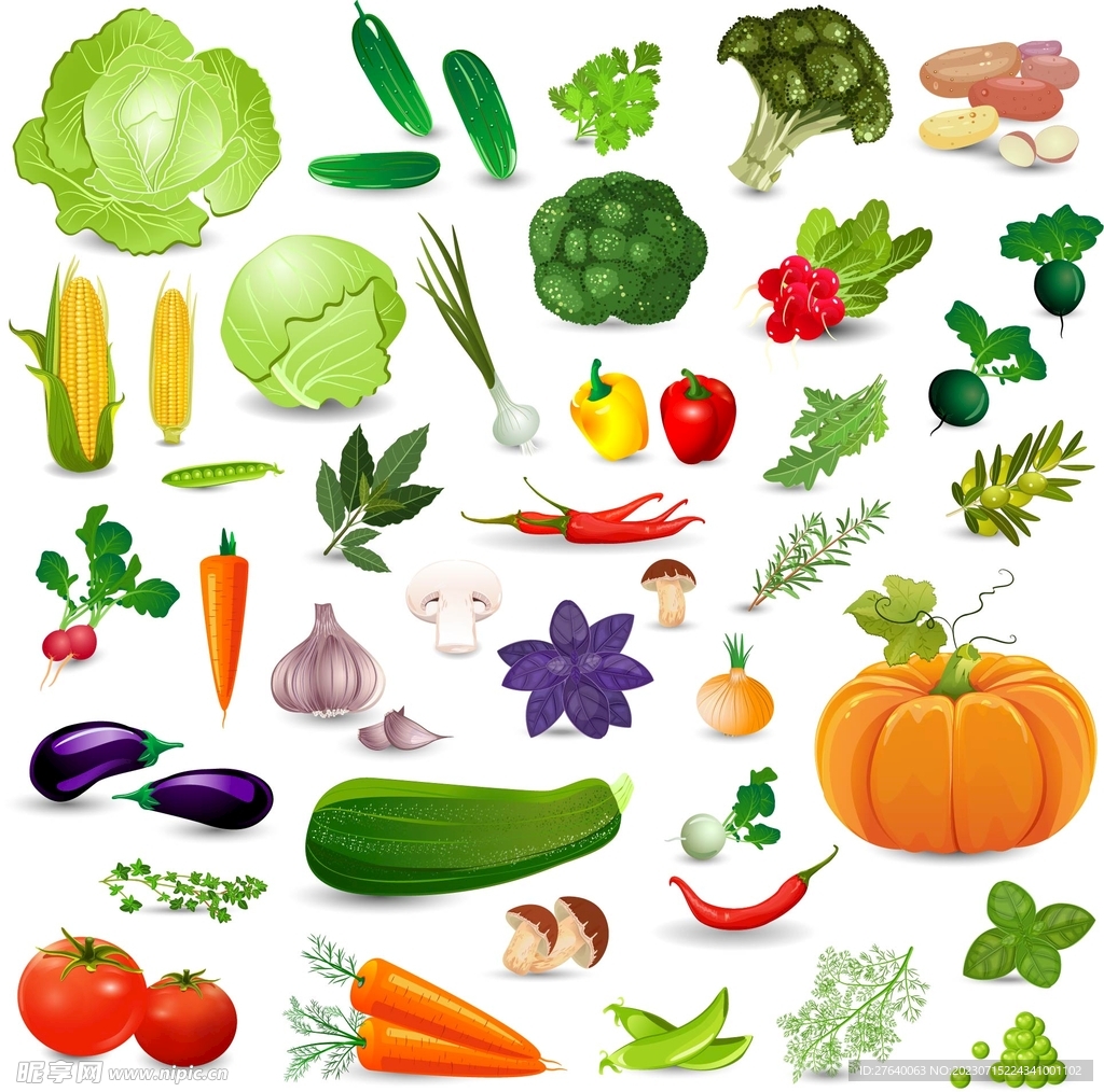 ai矢量绿色蔬菜图片