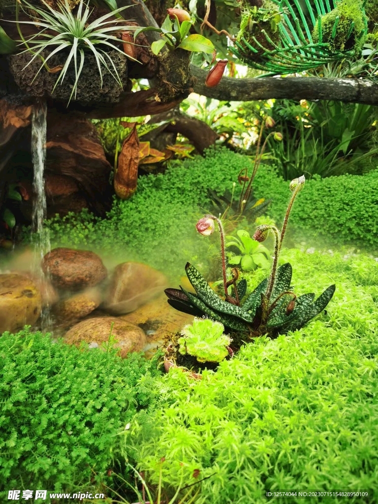 花