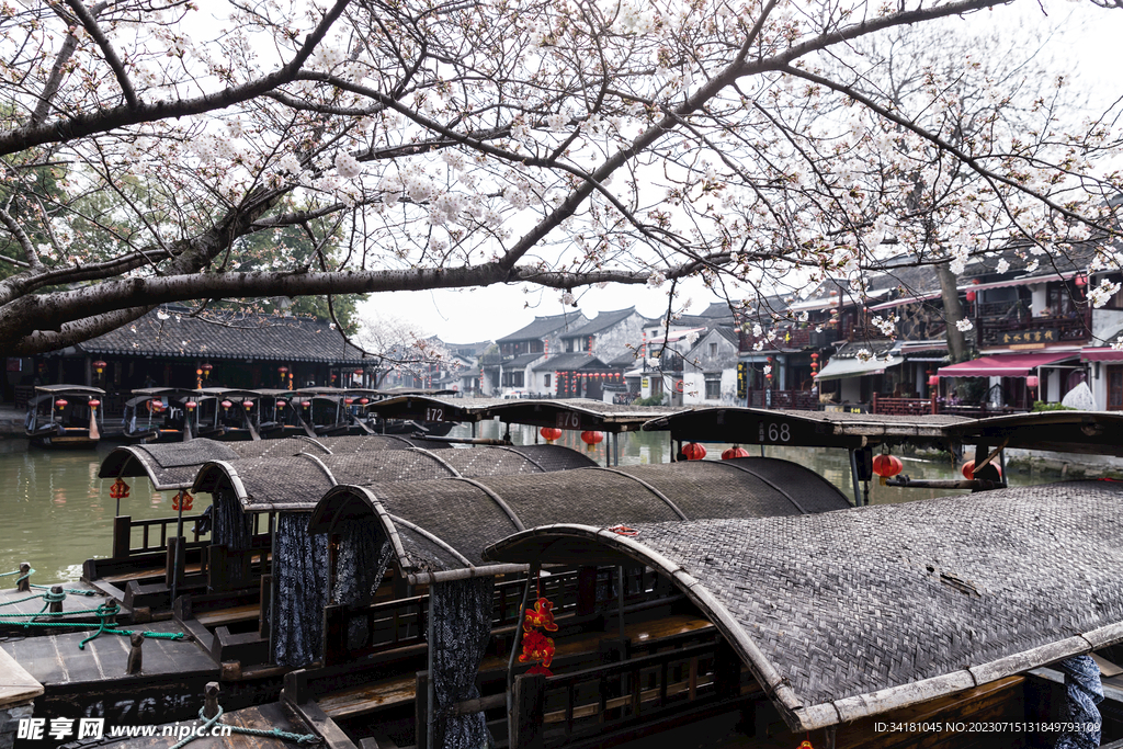 西塘旅游