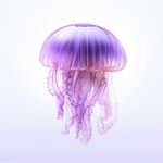 水母 