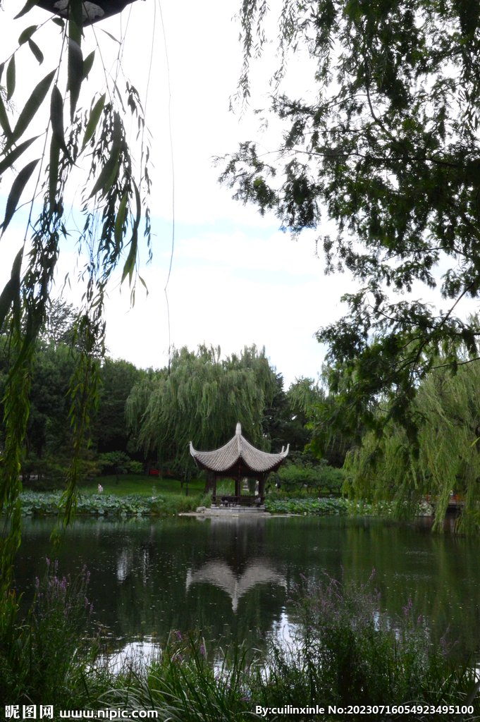 公园风景 
