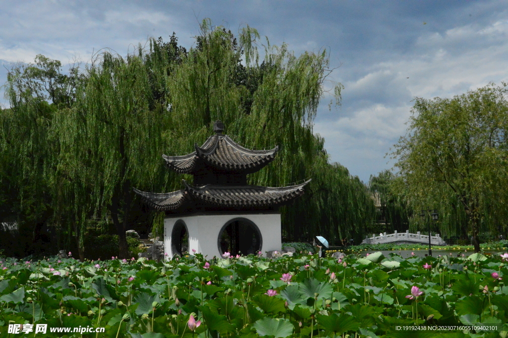公园风景 