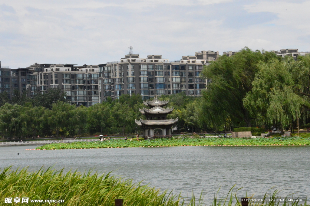 公园风景
