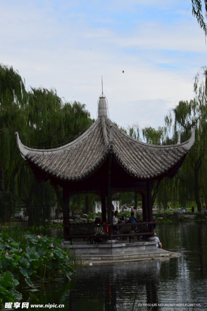 公园风景