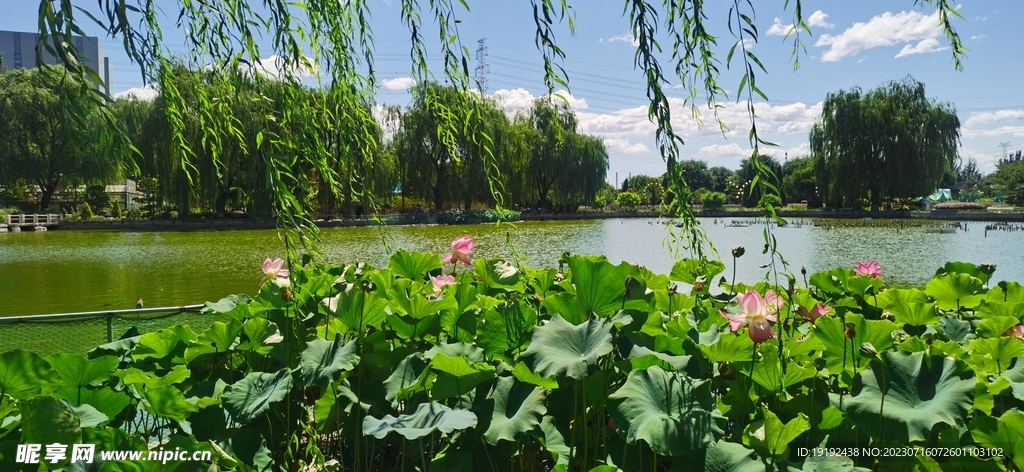 公园风景