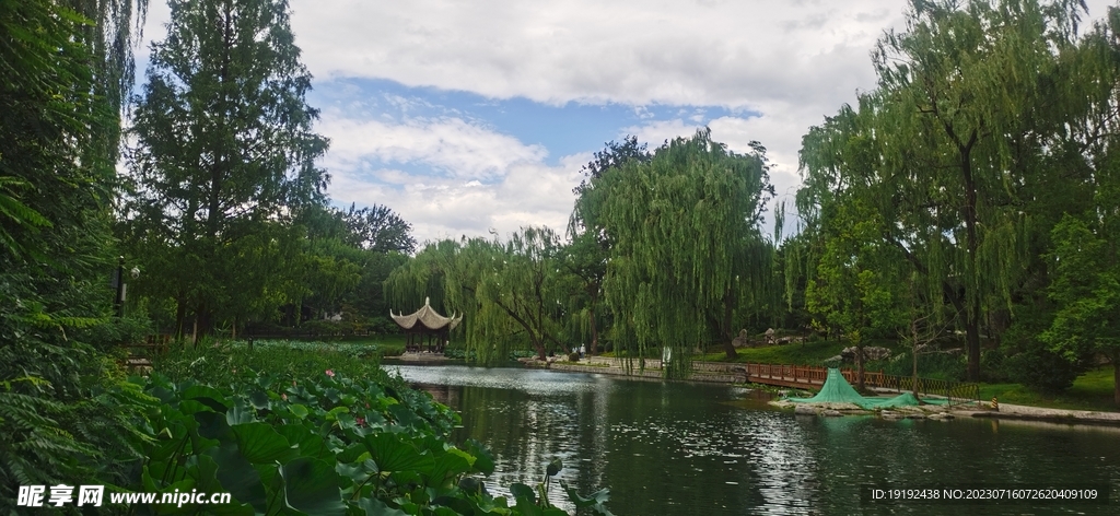 公园风景 