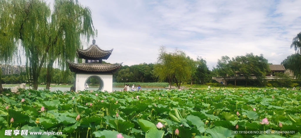 公园风景 