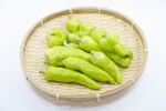 辣椒