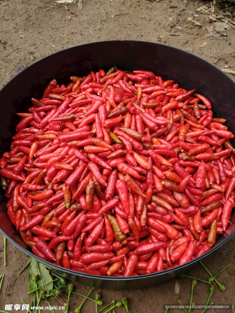 辣椒