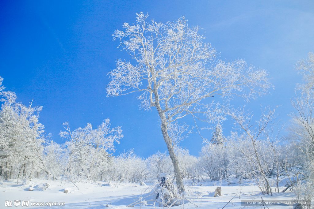 哈尔滨雪景