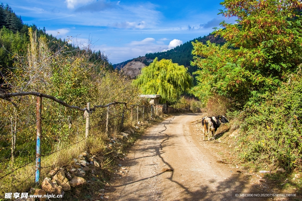 路上的风景