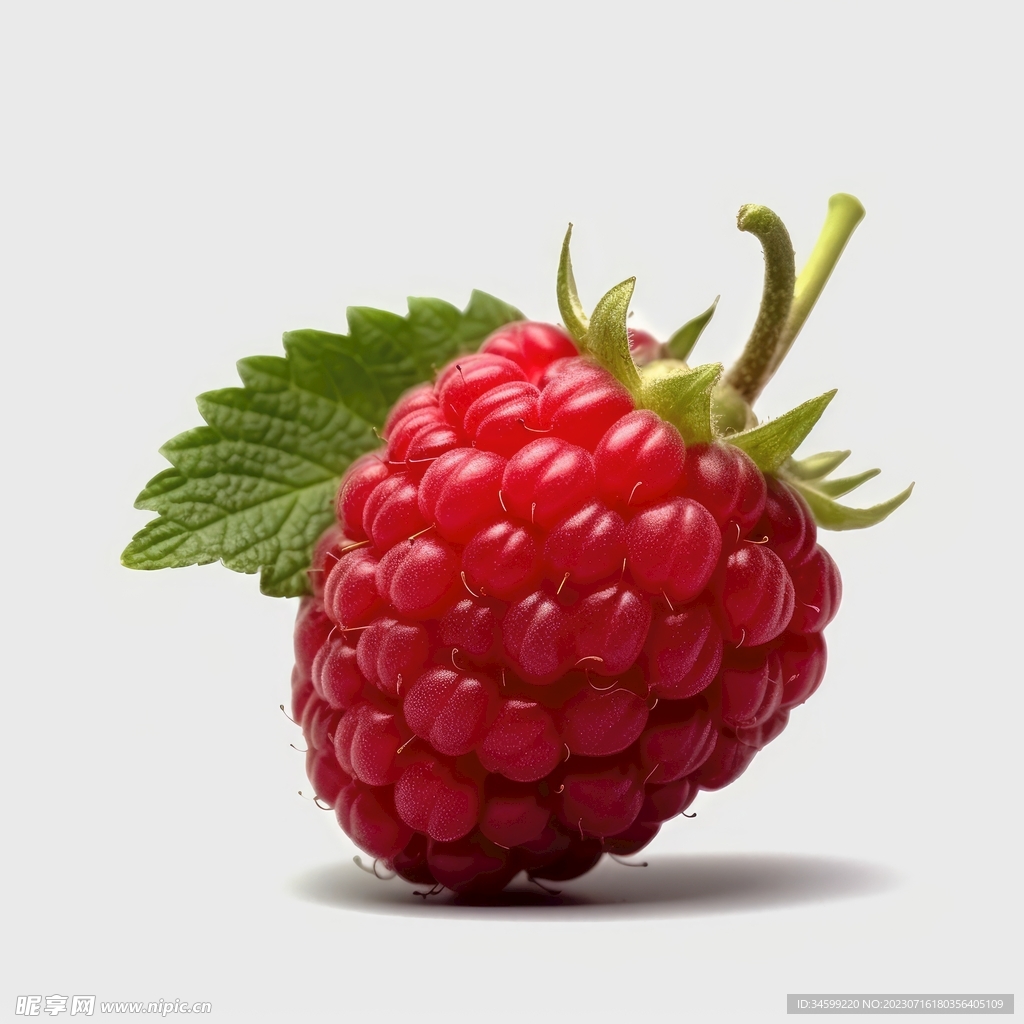 树莓图片素材-编号13481207-图行天下