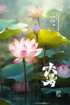 荷花大暑海报