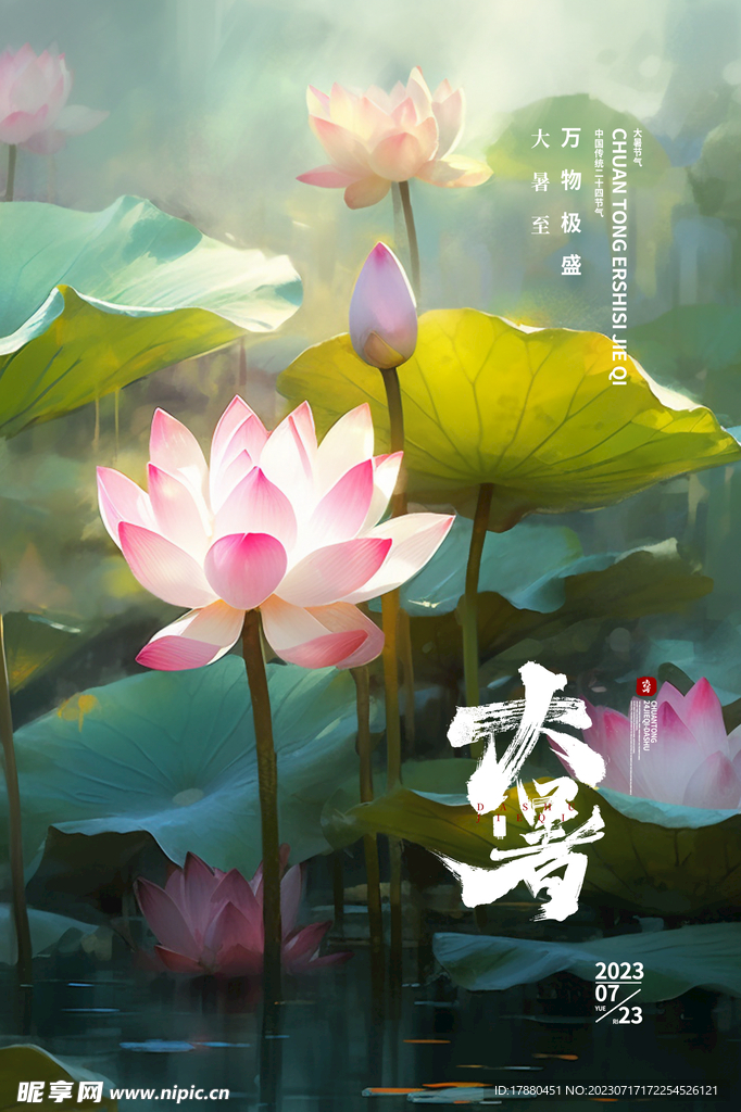 荷花大暑海报