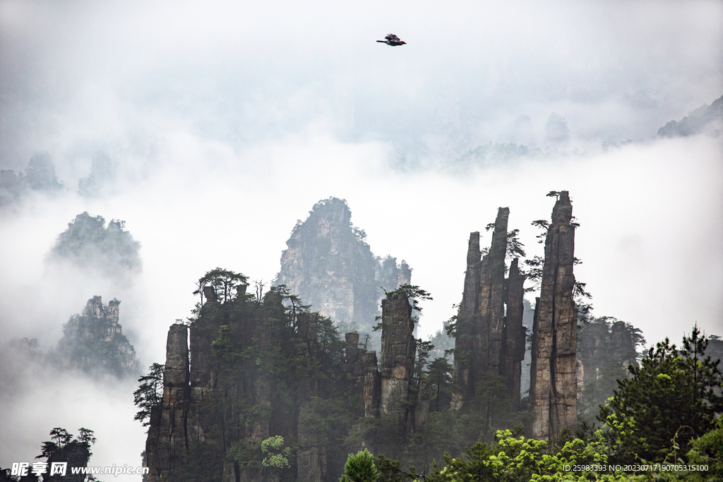 黄山奇峰