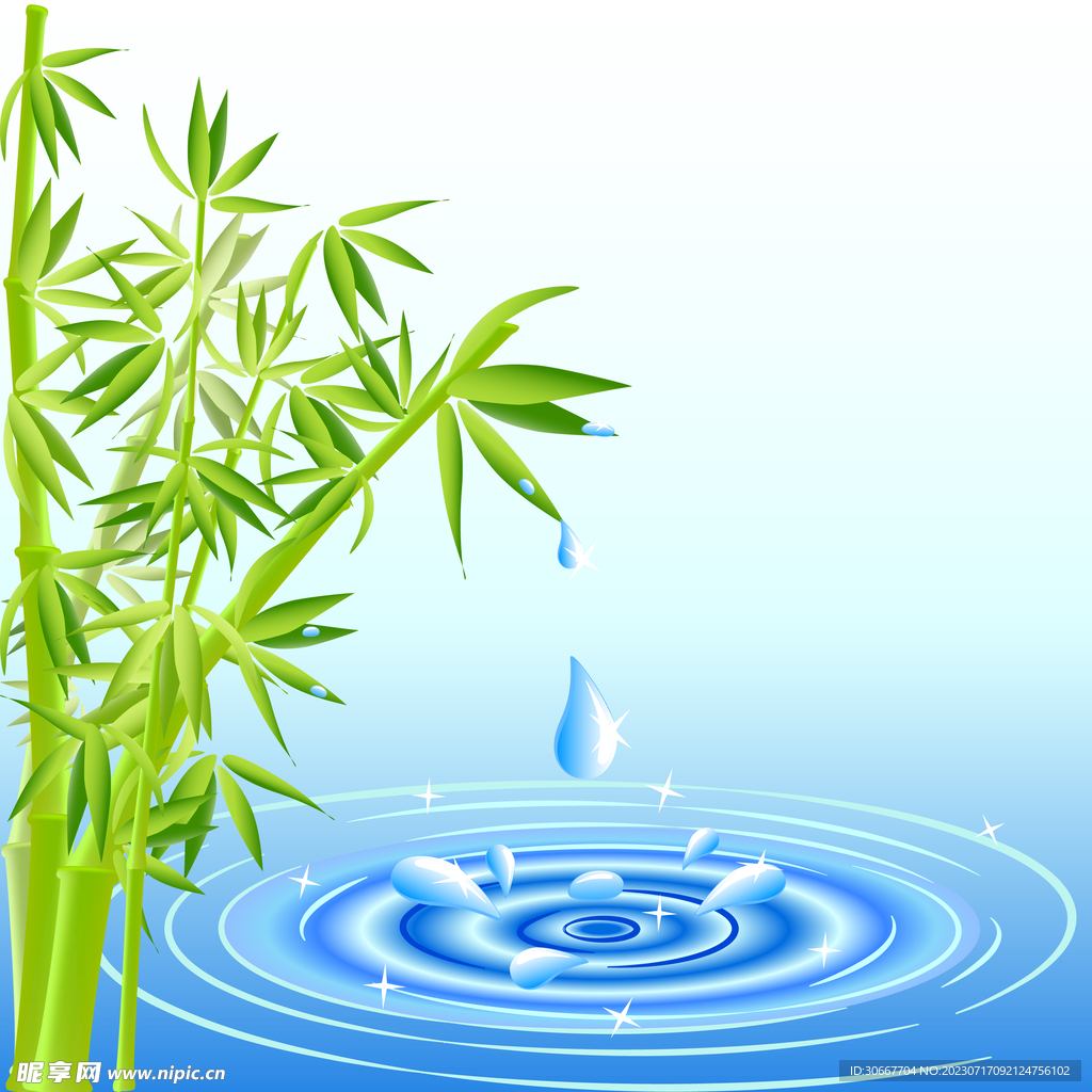 竹子 水滴 