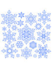 雪花