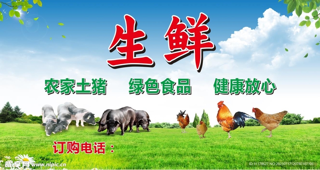 农家土猪