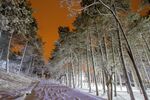 夜幕下的雪后道路