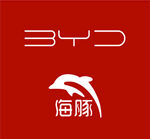 BYD海豚