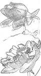 白描莲花