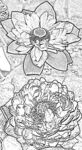 莲花花朵素描