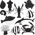 海洋生物