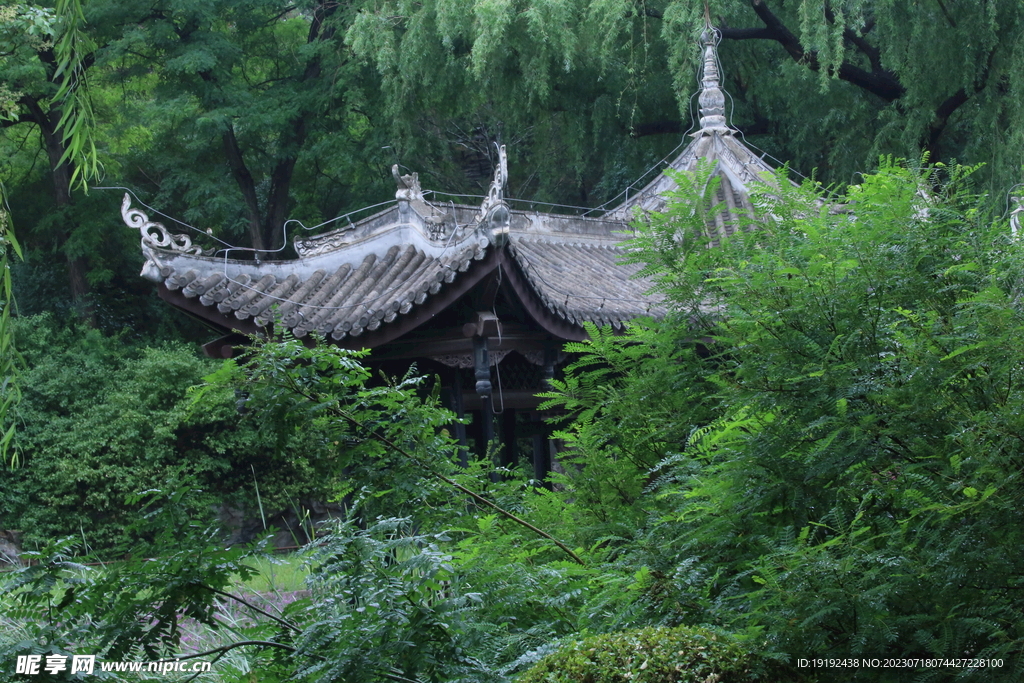 公园风景 