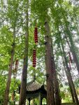 法喜寺