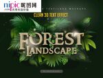 字体样式图片