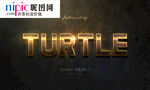 字体样式图片