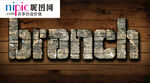 字体样式图片