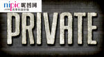 字体样式图片