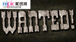 字体样式图片