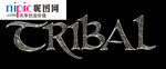 字体样式图片