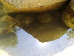 水面