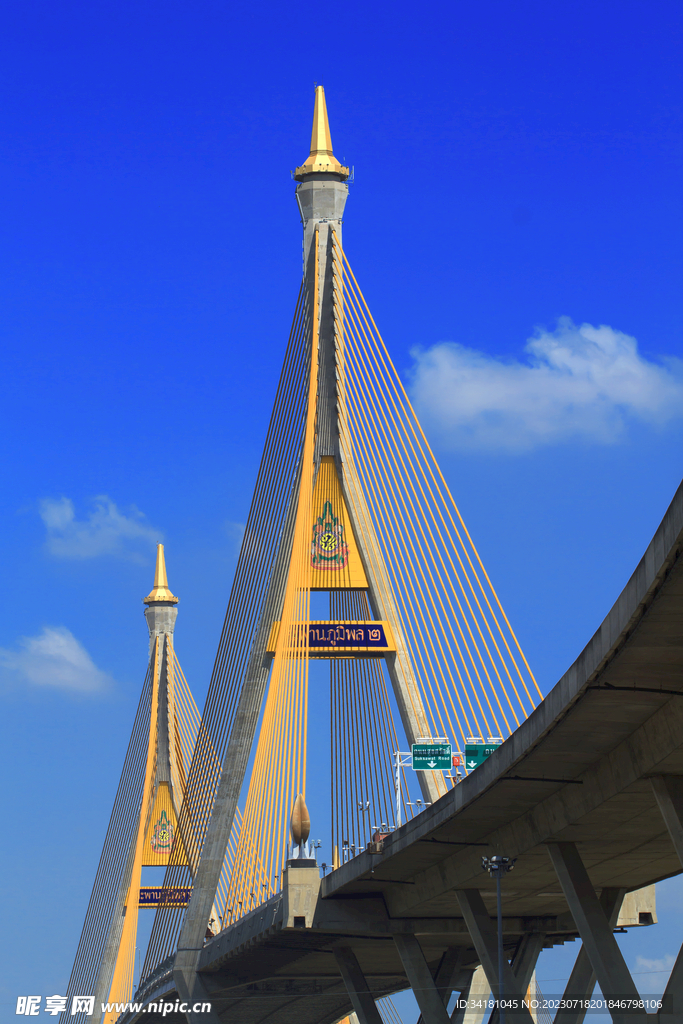 城市桥梁建筑