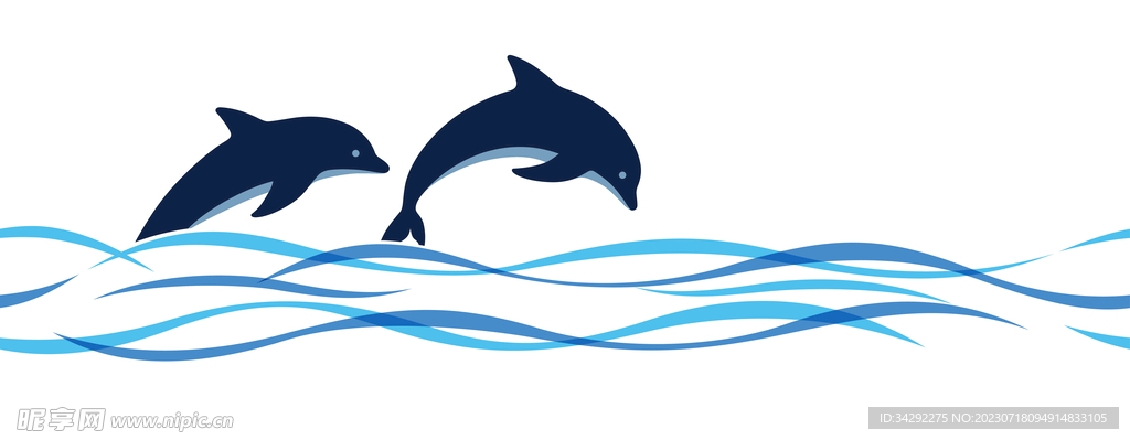 海豚插画