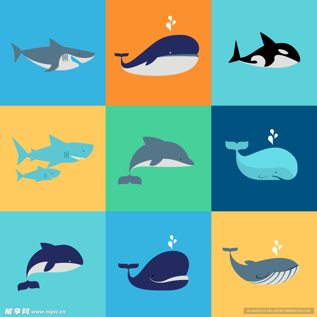 鲸鱼海豚插画
