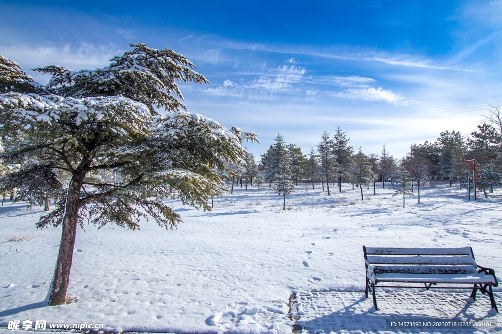 雪后公园一角