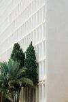 白色建筑与绿植