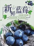 新鲜蓝莓