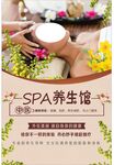 SPA养生馆
