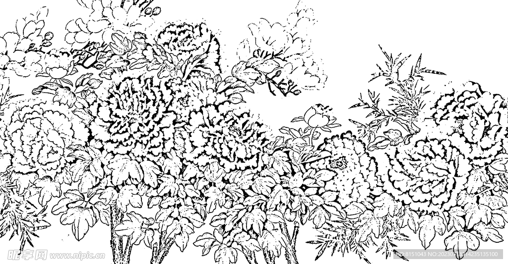 牡丹花
